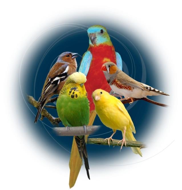 `s-gravenhaagse Vereniging van Vogelliefhebbers LUSCINIA Maandblad