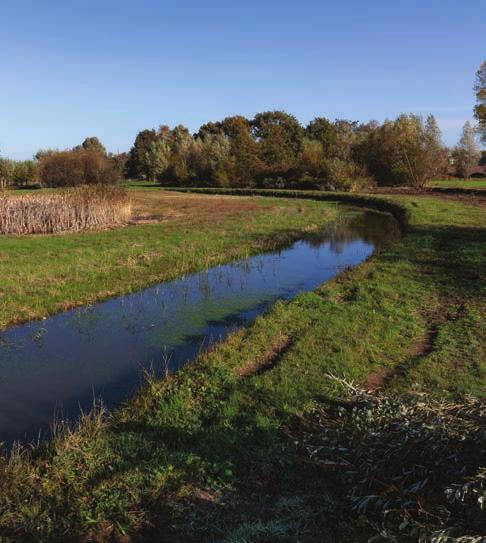 WATERSCHAP AA EN MAAS: HOOGE RAAM De Hooge Raam is een snelstromende beek van zo n vijf kilometer die voor een belangrijk deel door natuurgebied (Natte Natuurparel, Natuurnetwerk Nederland) stroomt.