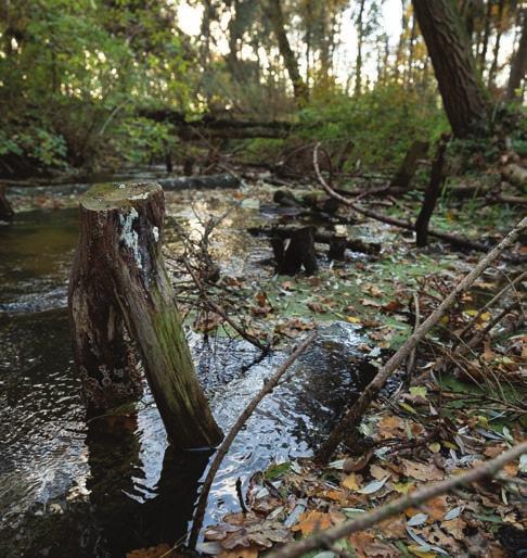 WATERSCHAP VALLEI EN VELUWE: LUNTERSE BEEK AANLEIDING EN DOELSTELLING Langs de landgoederen Wolfswinkel en Engelaar loopt de Lunterse beek.