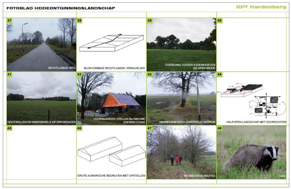 Afbeelding 4.7: Fotoblad heideontginningslandschap (Bron: Gemeente Hardenberg) 4.3.5.
