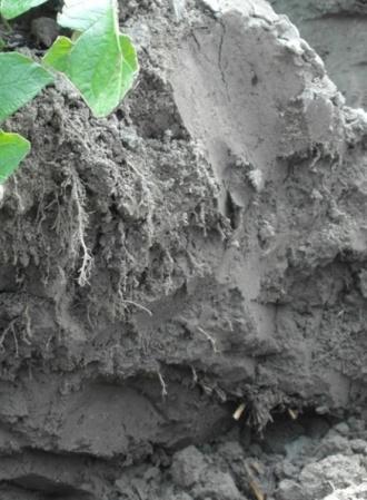 Maar, Gerard Oomen zou daarvan zeggen: ondertussen schiet je wel met een schot hagel. Daarmee schiet je gauw raak. De vraag is, had het met een gericht schot ook toegekund.