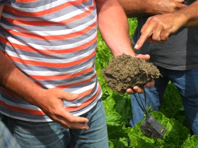 Dus: elk mengsel met Mangaan voldoet daar dus aan) Tijdens de bijeenkomst op 1 juli liet Marco het effect zien van verschillende doseringen bladmeststof.