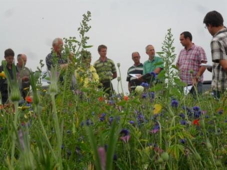 De tarwetour op 24 juli We hebben op deze dag 3 locaties bezocht.