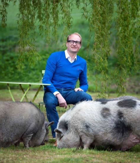 Door het wroeten van de varkens kan de weide na een tijd helemaal omgewoeld zijn. Voorzie daarom een verharding in de buurt van de stal.