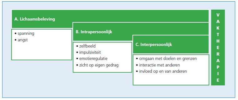 Figuur 2 Indicatiegebieden voor vaktherapie bij mensen met een LVB 5.