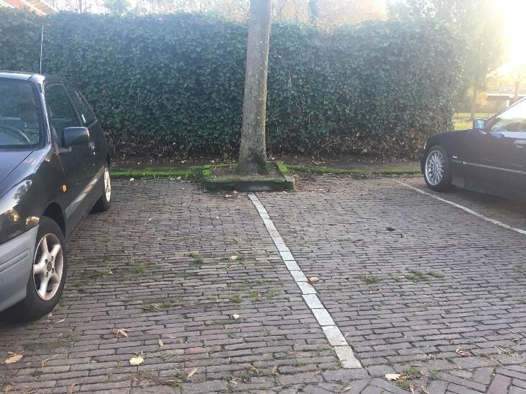 Of iets minder rigoureus: stop/parkeerverbod aan de graszijde. Extra duidelijkere belijning kan het overzicht en veiligheid stimuleren.
