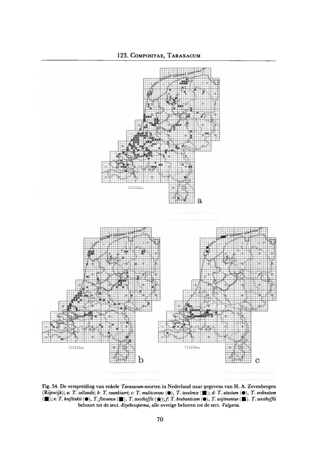 Fig. 54. De verspreiding van enkele (Rijswijk); a: T. sellandii; b: T. raunkiaeri; c: T. multicorans ( ), T. texelense ( );d: T. atactum ( ), T. ordinatum ( );e: T. beeftinkii ( ), T.
