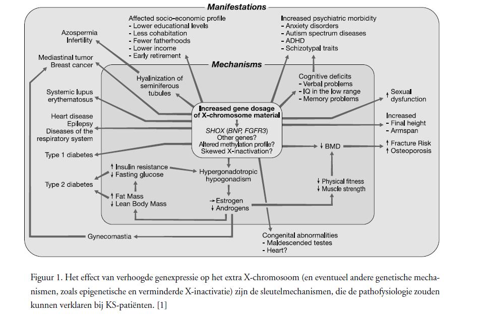 Pathofysiologie Groth KA et al.