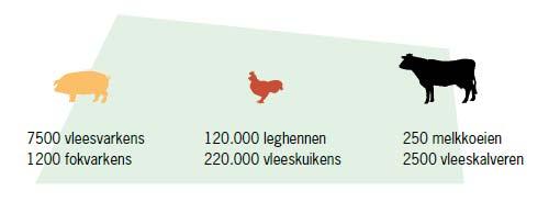 Opzet planmer 25 veehouderijbedrijven, blijkt dat met name als het gaat om rundvee en schapen sprake is forse onbenutte ruimte binnen de vergunningen.