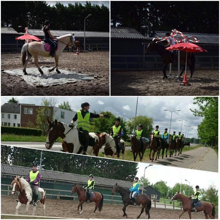 Cursus buitenrijden / Ruiterbewijs Buitenrijden is leuk, maar moet wel op verantwoorde wijze gebeuren. Ruitervereniging Manege Vreehorst en Manege Vreehorst hechten hier beide grote waarde aan.