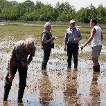 AquaSense-rapport Soorten van zwak gebufferde wateren in het