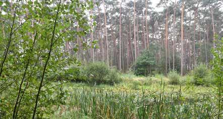 10 minuutjes wandelen van Woonomgeving Gerlacus op