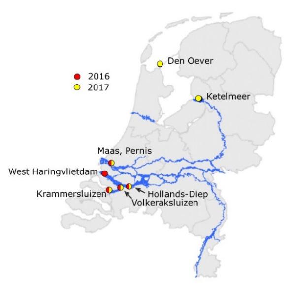 1 Inleiding Chinese wolhandkrab (Eriocheir sinensis, hierna afgekort als WHK) wordt in Nederland commercieel bevist.