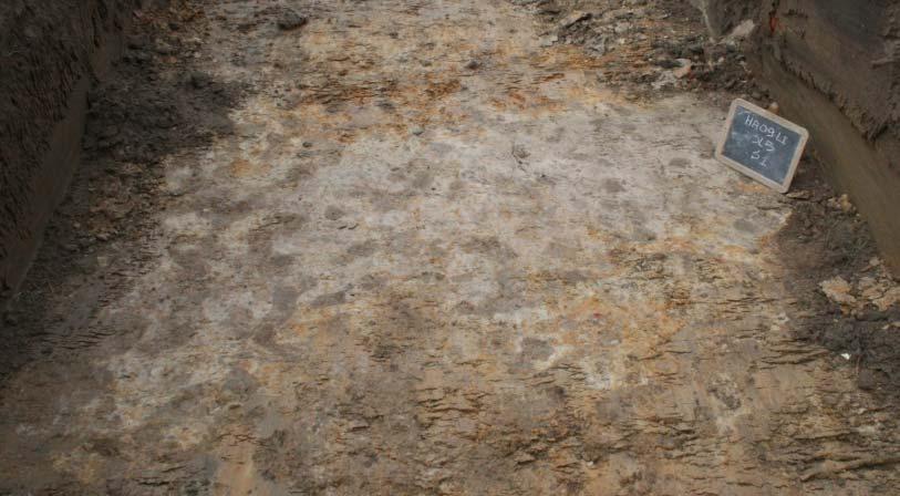 Tijdens het proefsleuvenonderzoek kwam slechts één relevant archeologisch spoor aan het licht. Het gaat om een greppel, met uitgeloogde lichtgrijze zandige vulling, met een max. breedte van 99cm.