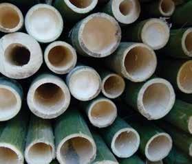 De ronde bamboestammen functioneren door haar holtes als prima geluidsisolatie.