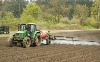 De aanvoer van nutriënten via rivieren zorgt voor een teveel aan Nen P ten opzichte van het opgelost silicium.