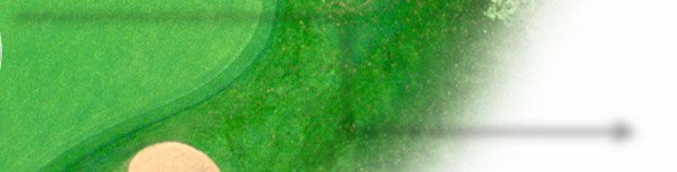 Basatop NK Basatop Starter Kick Wetting agent Green & foregreens: Fertilis Speed