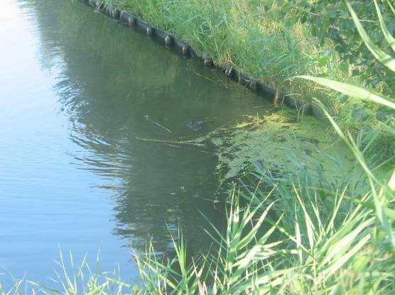 Langs de Groote Kreek en de Magdalenakreek liggen twee kleine geïsoleerde peilgebieden.