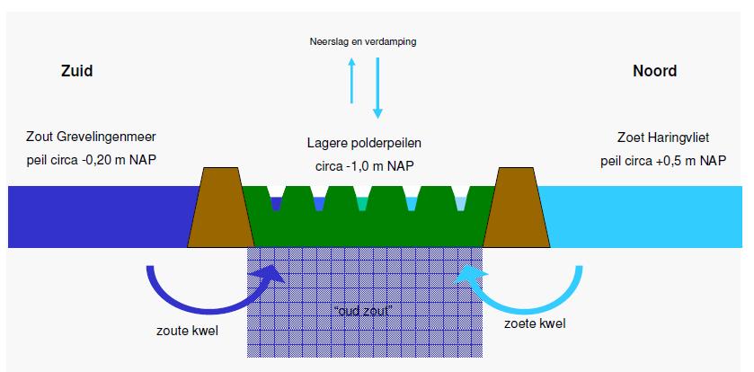 Figuur 2.6 Kwelstromen van de polder Goeree-Overflakkee (Witteveen en Bos (2), 2012). In het verzorgingsgebied varieert de gemiddelde kwel van ca. 0,0 tot 1,0 mm/dag.
