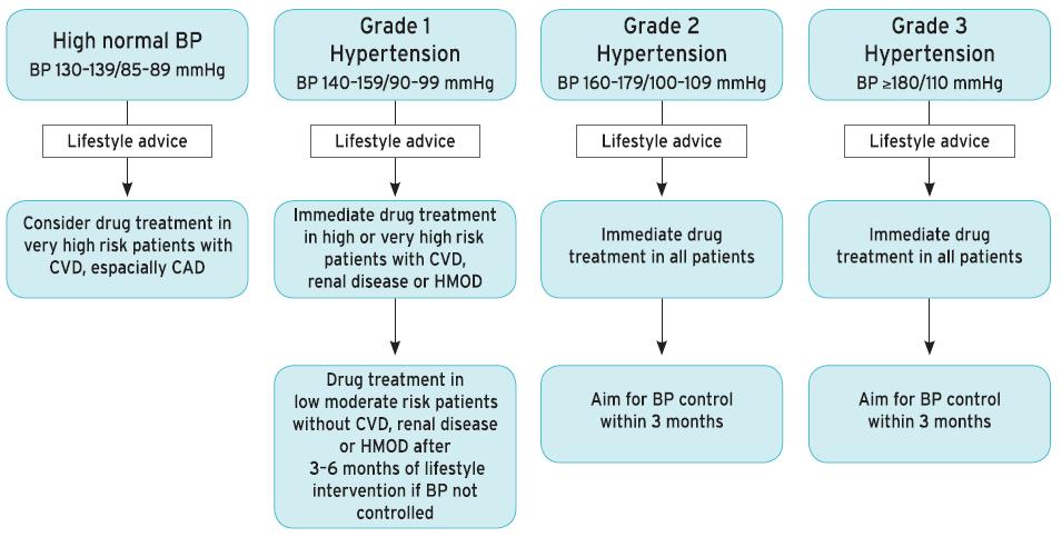 Opstarten van een antihypertensieve behandeling Hoog-normale BD 130-139/85-89 mmhg Hypertensie Graad 1 BD 140-159/90-99 mmhg Hypertensie Graad 2 BD 160-179/100-109 mmhg Hypertensie Graad 3 BD 180/110