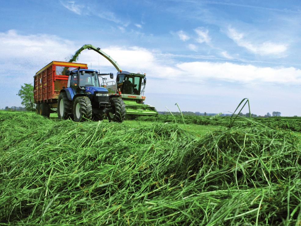 Blijvend grasland Of u uw grasland uitsluitend maait of ook gebruikt om u koeien te beweiden, blijvend grasland is voor iedere bedrijfsvoering de basis voor goed ruwvoer.