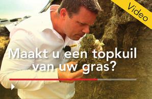 Verhoog de gezond van uw melkvee Wilt u de gezondheid van uw melkvee eenvoudig verhogen dan is het nieuwe inkuilmiddel Bonsilage Fit gras de oplossing.