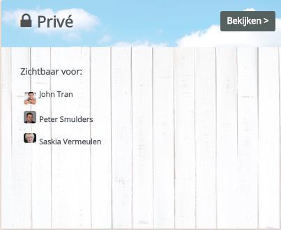 Privé Het Privé gedeelte is een afgesloten gedeelte, waarin een subgroepje van de leden vertrouwelijker of intiemere informatie kan delen.