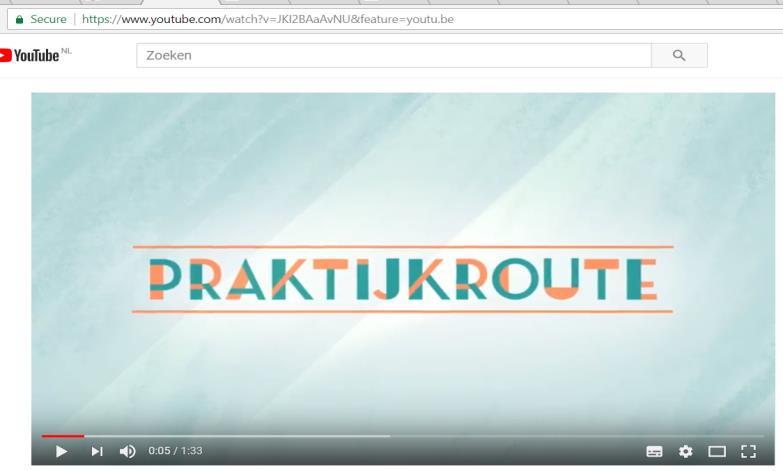 2017) Terugkijken Webinar Praktijkroute, januari 2017 http://player.