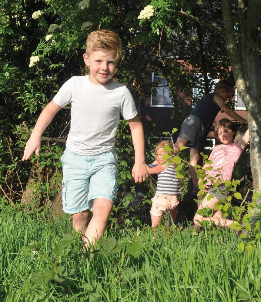 klimbomen in de buurt, hebben je kinderen de tijd van hun leven.