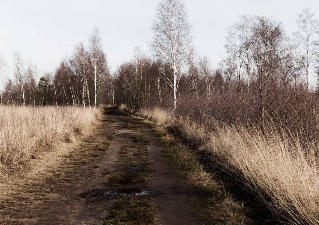 HELENAVEEN: EEN DORP MET EEN RIJK VERLEDEN 2 Helenaveen vindt haar oorsprong in 1853.