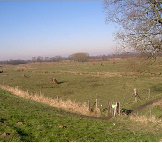 12 4.3 Graslanden beheerd in uitvoering van een (gebruiks)overeenkomst.