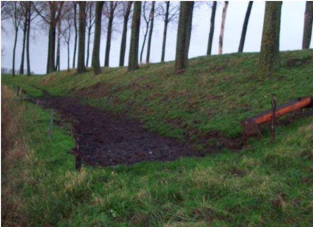 Wat met dijken? Dijken worden enkel als landbouwgrond beschouwd indien de landbouwer een gebruiksrecht kan aantonen, bijvoorbeeld voor begrazing.