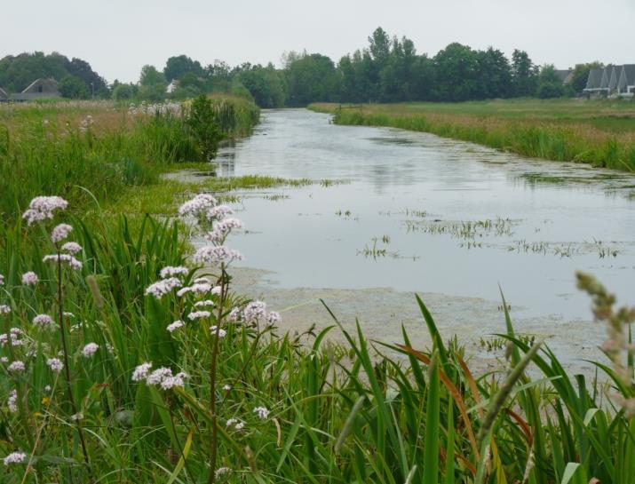 Samenvatting: baggerambitie Rijnland In deze samenvatting is de Rijnlandse ambitie voor het op diepte brengen en houden van alle oppervlaktewateren beschreven.