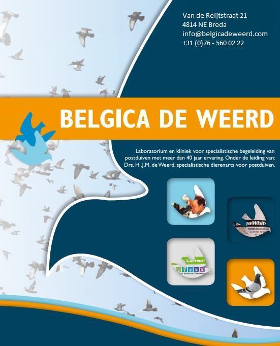 Sponser Belgica De
