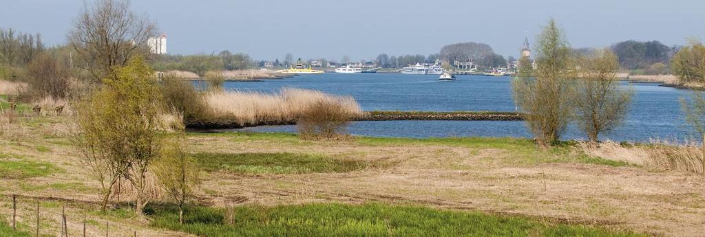 Vervolgonderzoeken We zijn nu ook gestart met veldonderzoeken naar bestaande natuurwaarden op en nabij de dijk.