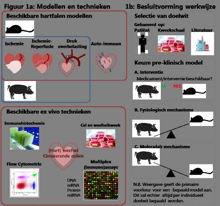 3.2 Doel Beschrijf de algemene doelstelling en haalbaarheid van het project.