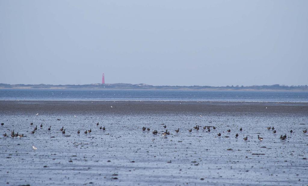 Streekwerk Waddeneilanden Streekwerk Waddeneilanden is een initiatief van de gemeenten Vlieland, Terschelling, Ameland, Schiermonnikoog, Wetterskip Fryslân en Provincie Fryslân.