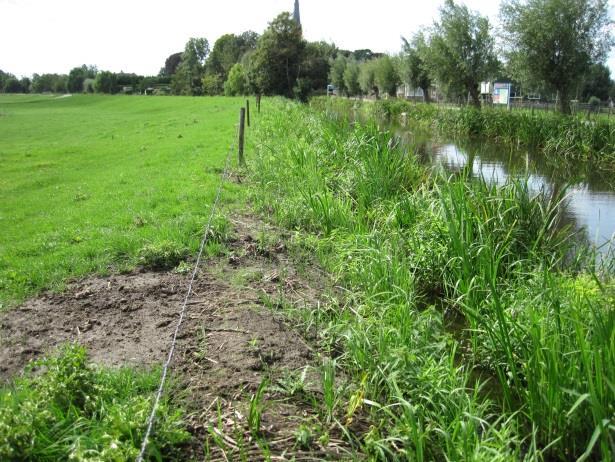 Uiteraard moet de beschoeiing wel voldoende hoog zijn om te voorkomen dat golven alsnog over de beschoeiing heen kunnen rollen. Juist de grens tussen beschoeiing en grond/gras is kwetsbaar.