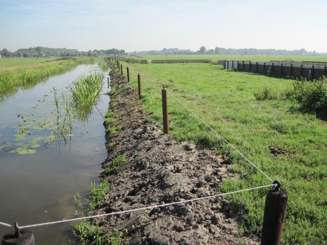 Op plekken waar de grasmat slecht tot ontwikkeling kan komen kunt u afkalving van de oever voorkomen door een beschoeiing of open betontegels aan te brengen of vegetatie