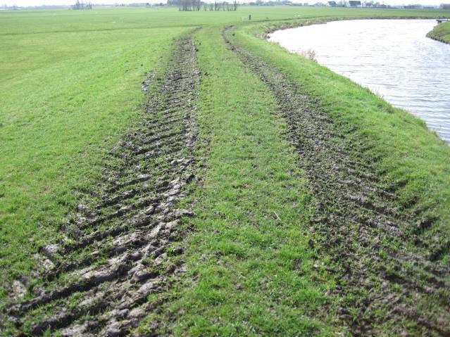 Doordat voertuigen geregeld hetzelfde spoor rijden of vee vaak hetzelfde spoor volgt heeft dit veel invloed op de kwaliteit van de grasmat en het wortelstelsel ervan.