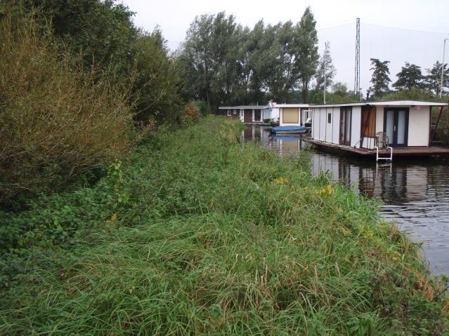 6 Opschot en struiken Bent u aangeschreven voor opschot en struiken dan moet u onderhoud aan de beplanting op de dijk uitvoeren. Hoge bomen op het binnentalud. 2.