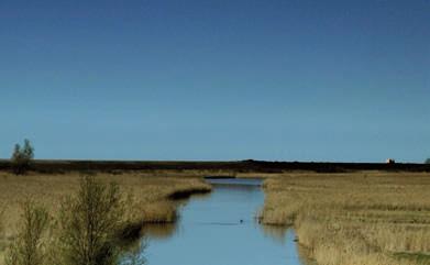 Ecologisch Systeem (TBES) in het Markermeer en IJmeer. We zijn inmiddels driekwart jaar verder. Wat is de stand van zaken?