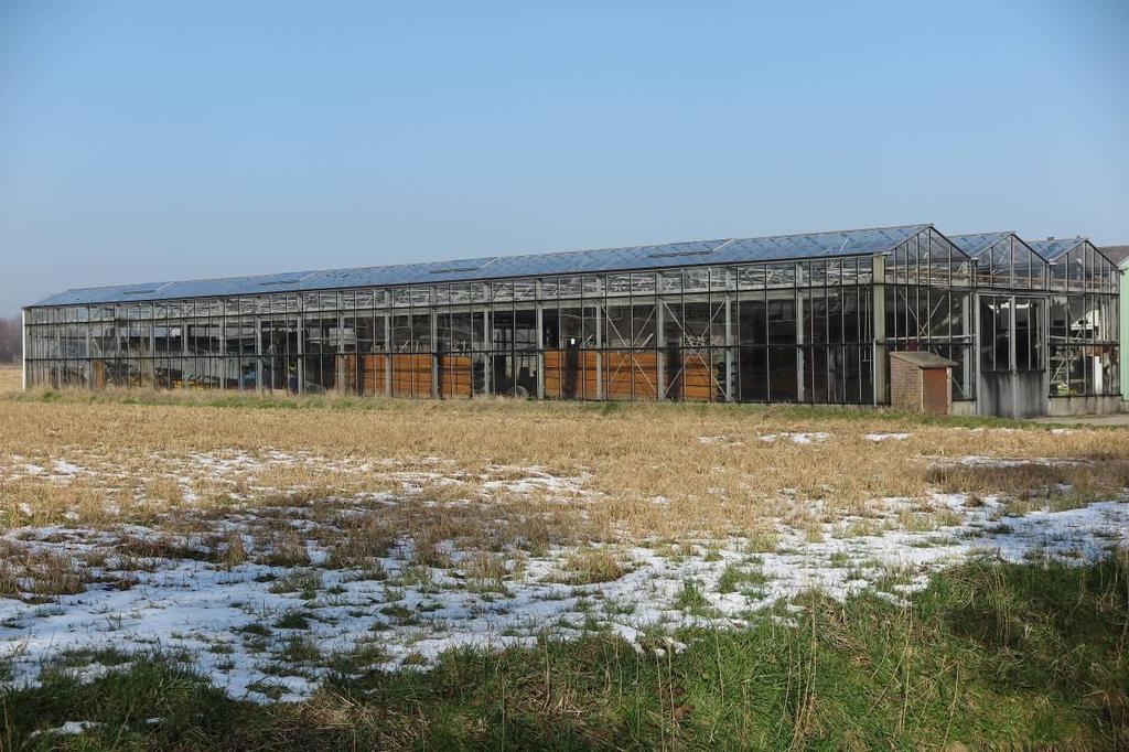 Vervolg figuur 2. Kas met loods aan de Korte Bosweg in het plangebied van woningbouwlocatie t Zand te Schagen. 1.