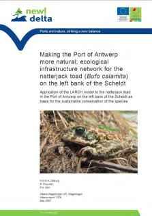 areas: Lessons from the natterjack toad