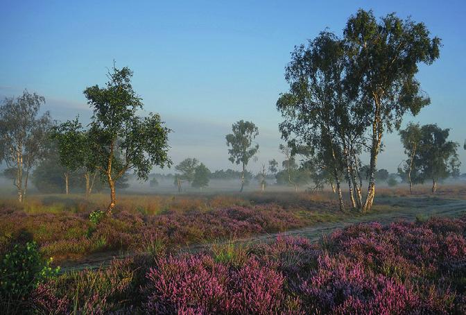 Wijnu Cultureel op excursie naar de Veluwezoom Een prachtig natuurgebied, frisgewassen en stralend in het groen Welgemoed togen we op weg Gewapend met regenwerende kleding stapten we woensdag 15 juli