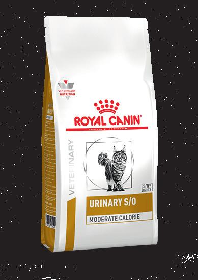 EEN ASSORTIMENT ROYAL CANIN VOEDINGEN TER ONDERSTEUNING VAN URINEWEGAANDOENINGEN De laatste vijftig jaar