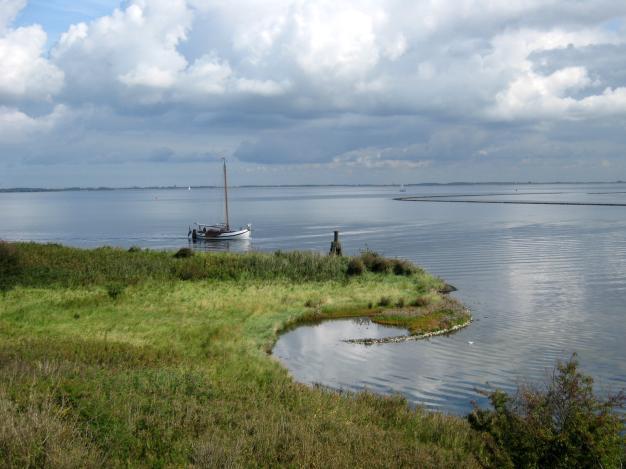 Het betreft een buitendijkse strook oeverland (Clinckerlant) bestaande uit grasland en een bosje