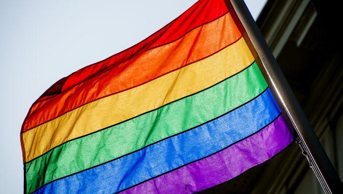 Sinds 2009 door de toenmalige minister van OCW, Plasterk, ook uitgeroepen als Nationale Coming Out Day Sindsdien steeds meer gemeenten de Regenboogvlag op die dag hijsen In de gemeente