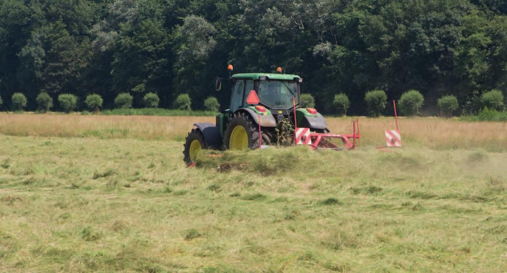 Verhalen van Biesland 2008