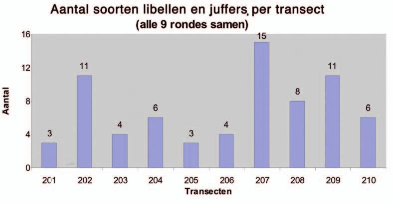 juffers per transect in 2008